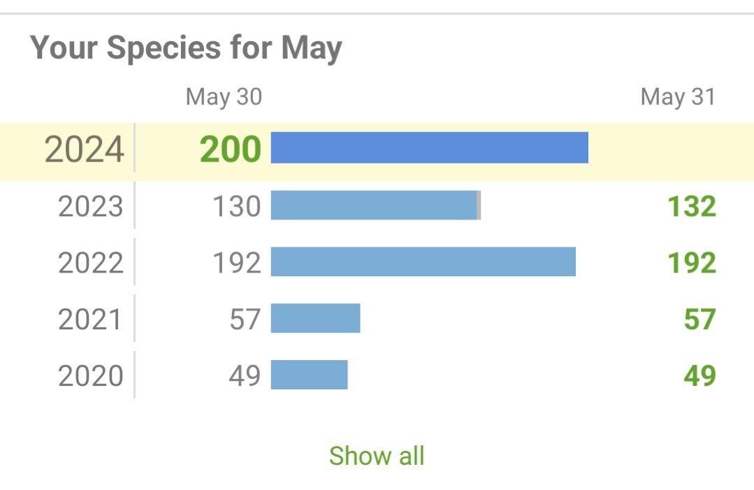 Ended May with 200 species (For the county) 210 for the world....... better than all the previous years since I started using ebird! 

Let's see how many species June will bring!!