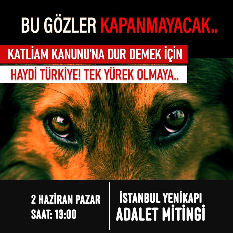 Nihal_K34's tweet photo. Bu gözler kapanmayacak!
Kanlı tuzaklara DUR! demek için haydi Türkiye!
tek yürek olmaya Yenikapı Miting alanına gelin.
2 Haziran Pazar saat 13.00 
#AdaletMitingi
#SokakHayvanlarıYalnızDeğildir