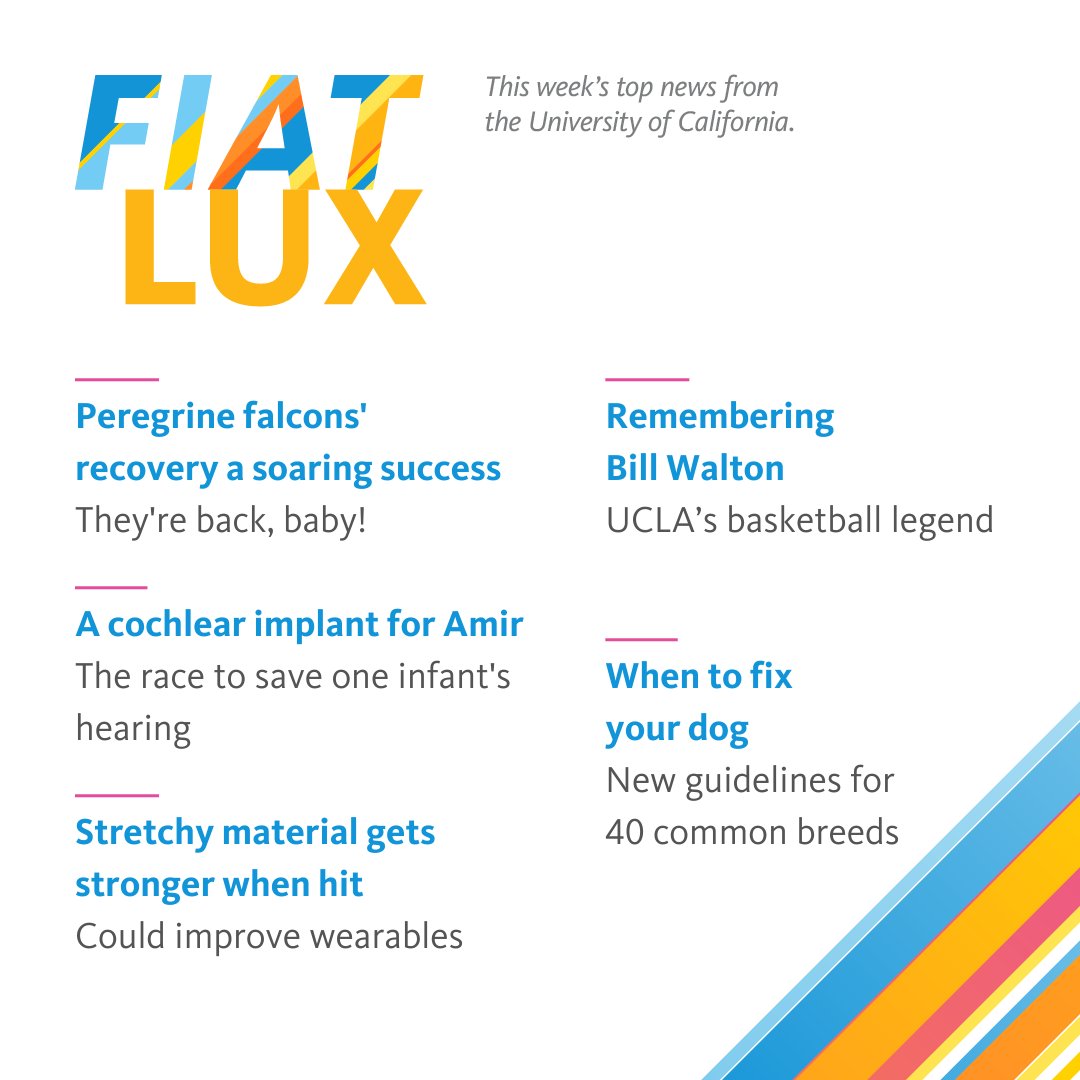 Top headlines from UC this week ⬇️ Subscribe to get #FiatLux straight to your inbox: bit.ly/4aPHqSV