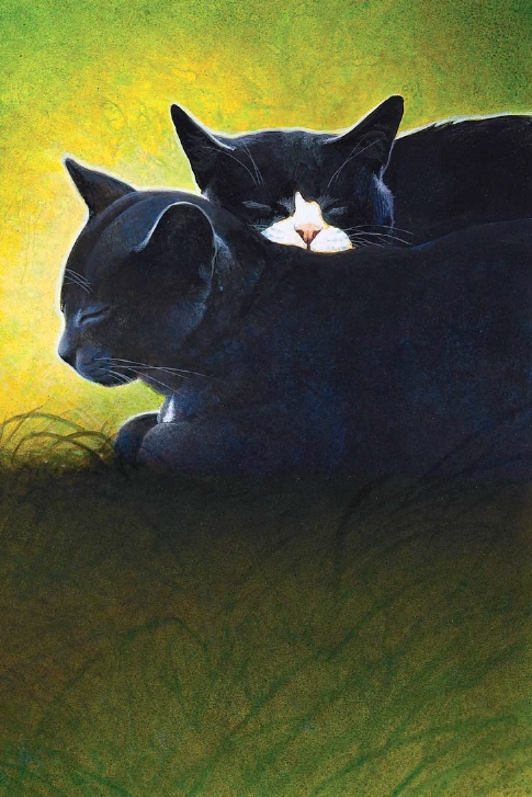 Warriors Wiki tweet media