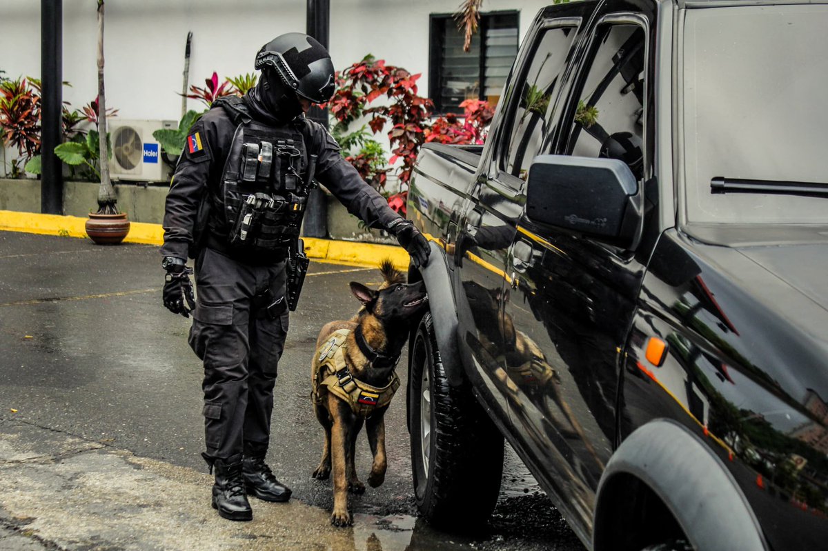 G/JGonzalezLopez tweet media