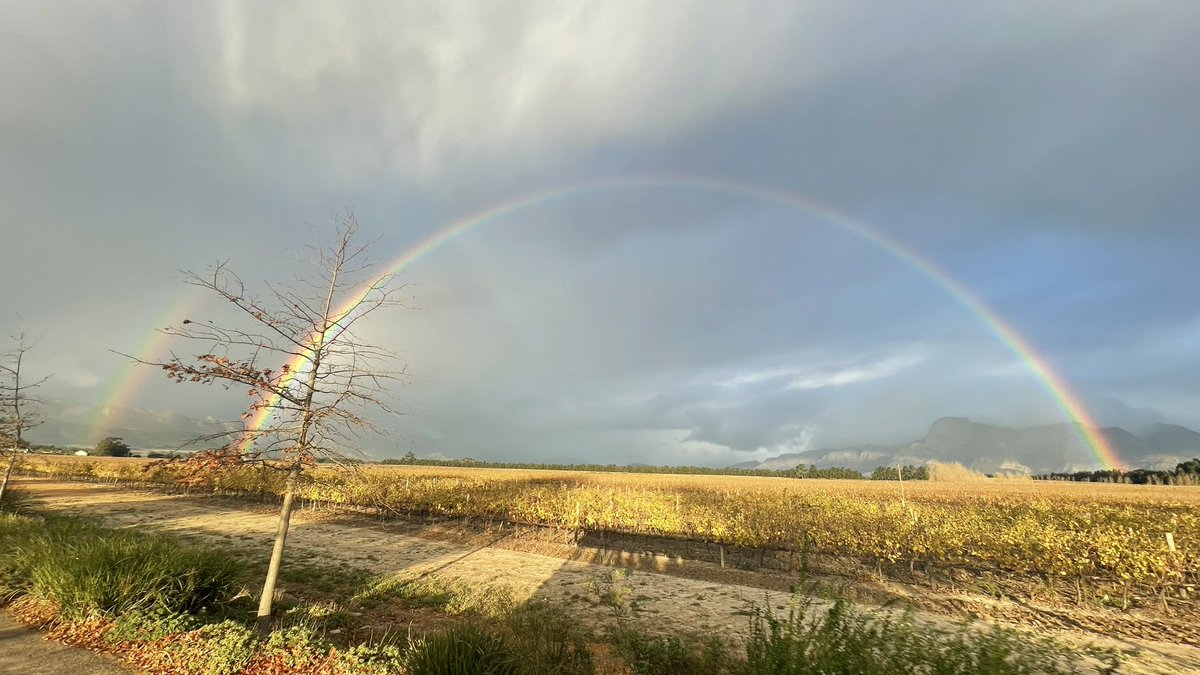 Complete and double rainbow in Franschhoek. #doublerainbow.