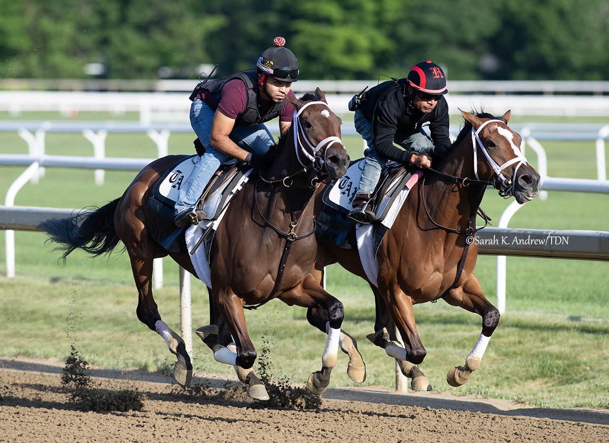 A few of the fillies being pointed to the June 7 GI Acorn Stakes, part of the @BelmontStakes Racing Festival at Saratoga, worked Friday morning over the Oklahoma... ⭐️ Champion JUST F Y I (Justify), trained by Bill Mott, breezed 5F in 1:01.20 ⭐️ Grade I winners CANDIED (Candy