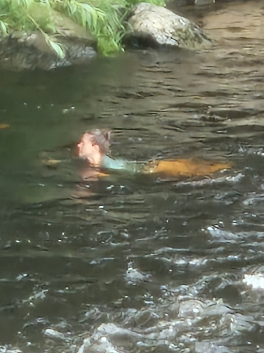 Treforedds's tweet image. A mermaid spotted in the river dee