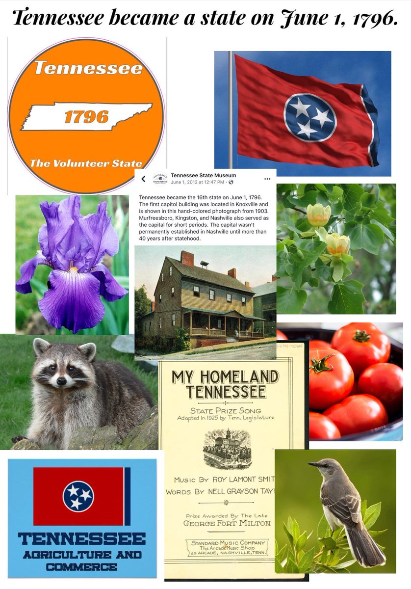sds2965's tweet image. On June 1, 1796, President George Washington made Tennessee the 16th state to join the United States. 🧡🇺🇸

#TennesseeHistory #Statehood #UnitedStatesOfAmerica #HealingMorning