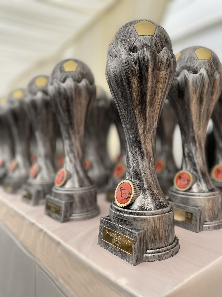 TeamGosforth's tweet photo. Trophies all ready for our end of season presentation ๐
We're looking forward to a great day of celebrating with our players and families tomorrow
#TeamGosforthFC #LeeSterrySportsCoaching https://t.co/009v3wvbxt