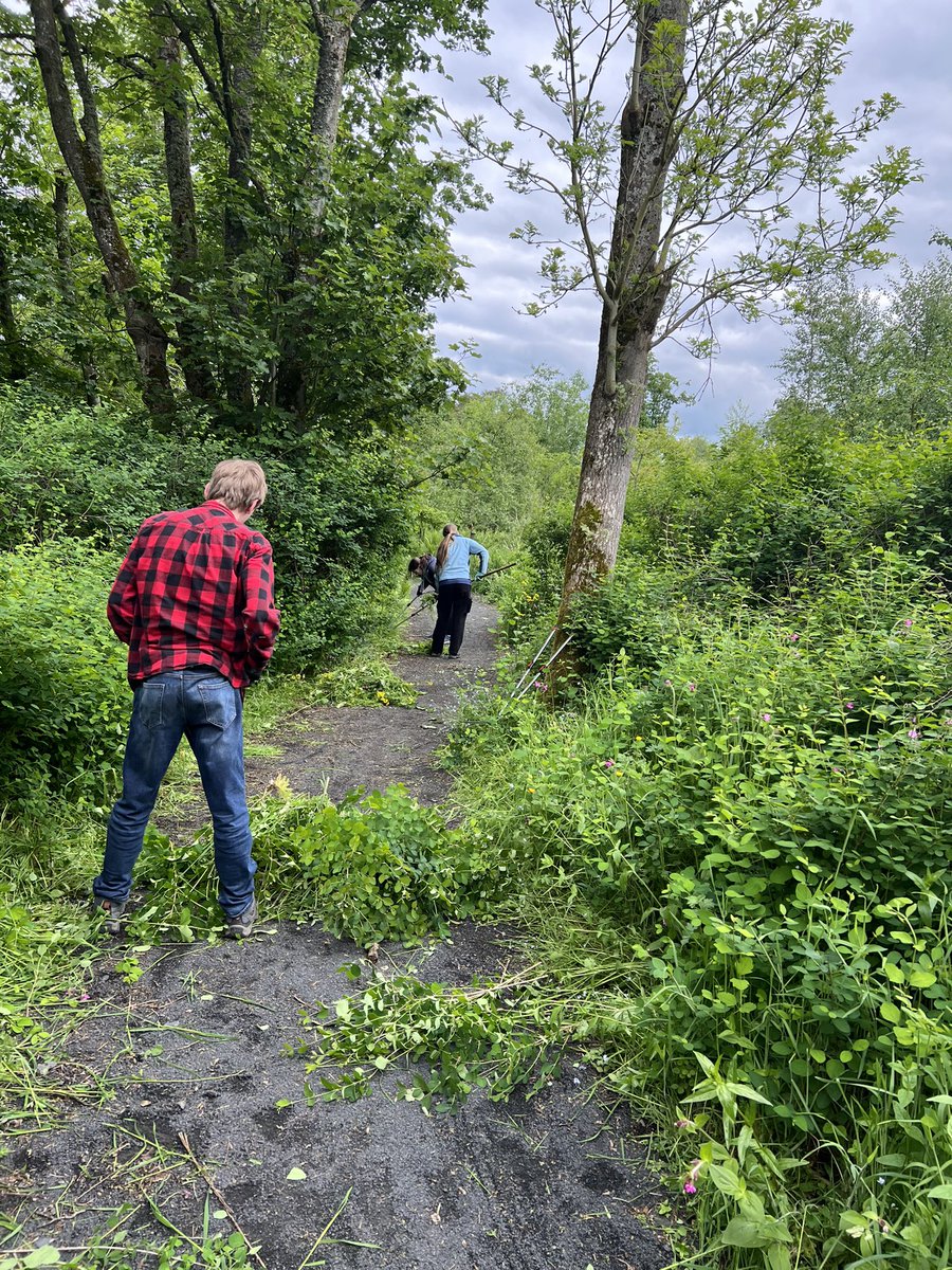 Go Wild Scotland Ranger tweet media