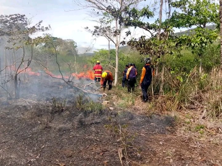 Funcionarios del Sistema Nacional de Gestión de Riesgo de Protección Civil Sucre, y el (GRUMAE) acuden a verificar un Incendio Forestal en la comunidad de Queremene, se procedió a solicitar apoyo a Bomberos a Carúpano en conjunto y lograron  controlar y sofocar en su totalidad.