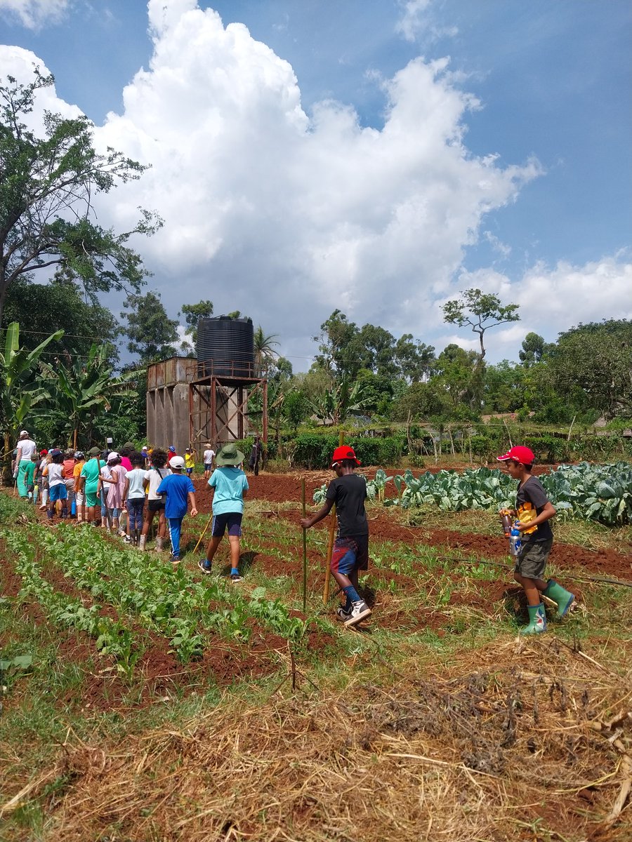 Farm tours for school kids offer hands-on learning about agriculture, sustainability, and the food supply chain. It's a unique way to connect with nature and understand where our food comes from! 🌾🚜 #FarmEducation #KidsInNature #AgriLearning #