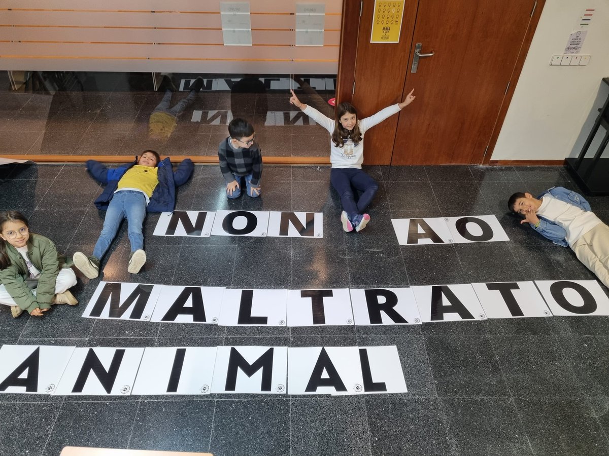 Iniciativa Dignidad Canina tweet media