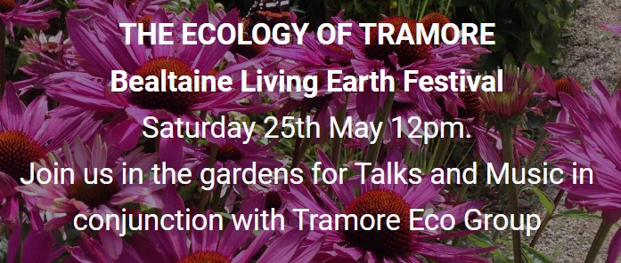 A reminder of the free event in Lafcadio Hearn Japanese Gardens today! Informative talks and atmospheric music from 12pm to 2pm 🎶 #BealtaineLivingEarthFestival