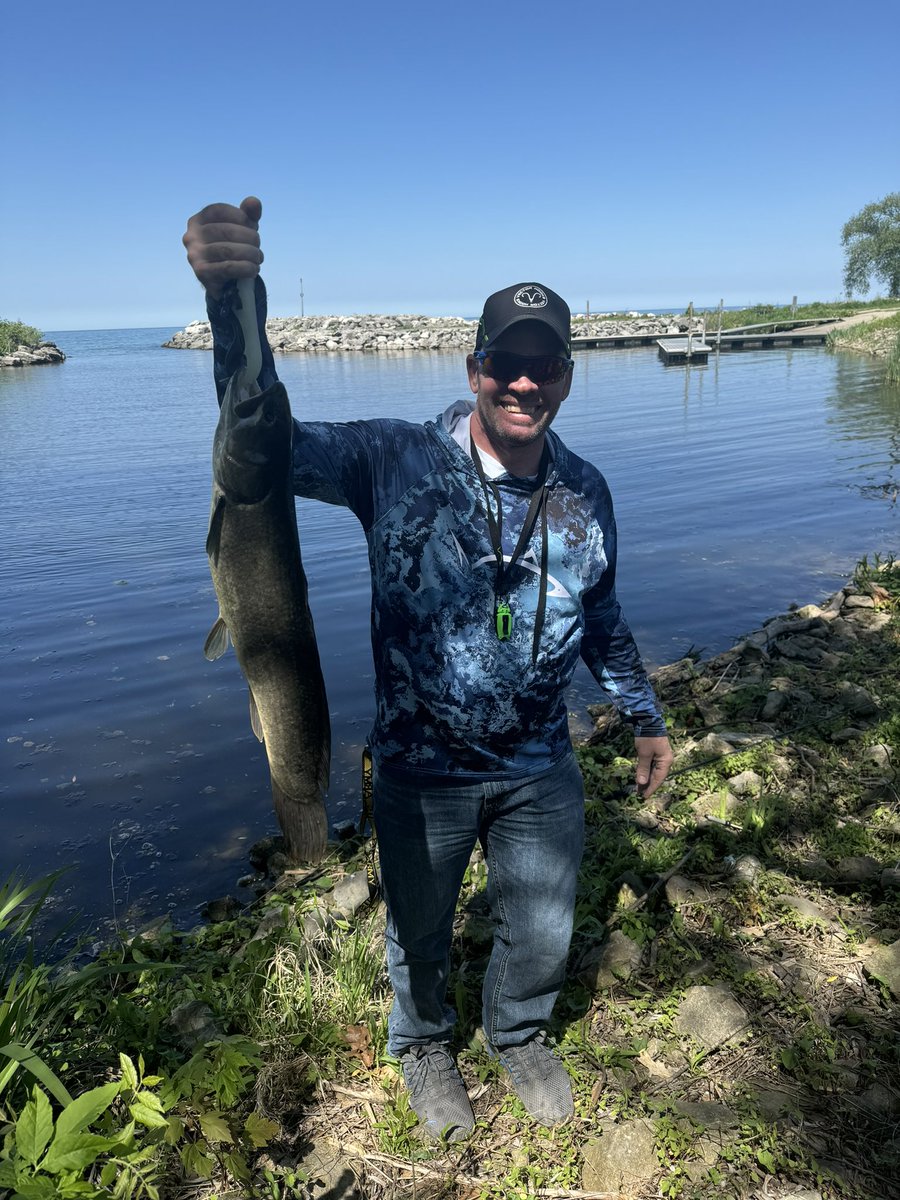 Not what I was looking for, but a fun catch. Hammered my spinnerbait with a <a href="/Bassreaperbaits/">BassReaper Bait Co</a> Swim Reaper trailer. My <a href="/KisselKrafts/">Kissel Krafts</a> 7’ MH (MB843) handled it nicely winching it in on 14lb <a href="/Viciousfishing/">Vicious Fishing</a> Pro Elite Fluorocarbon!