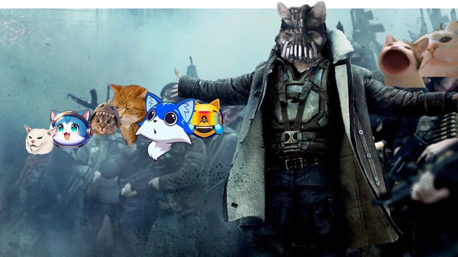 BaneCatonSOL's tweet photo. @SolJakey Buy them all #BaneCat #catcoins #Memecoin2024 https://t.co/qriO7WFGFz