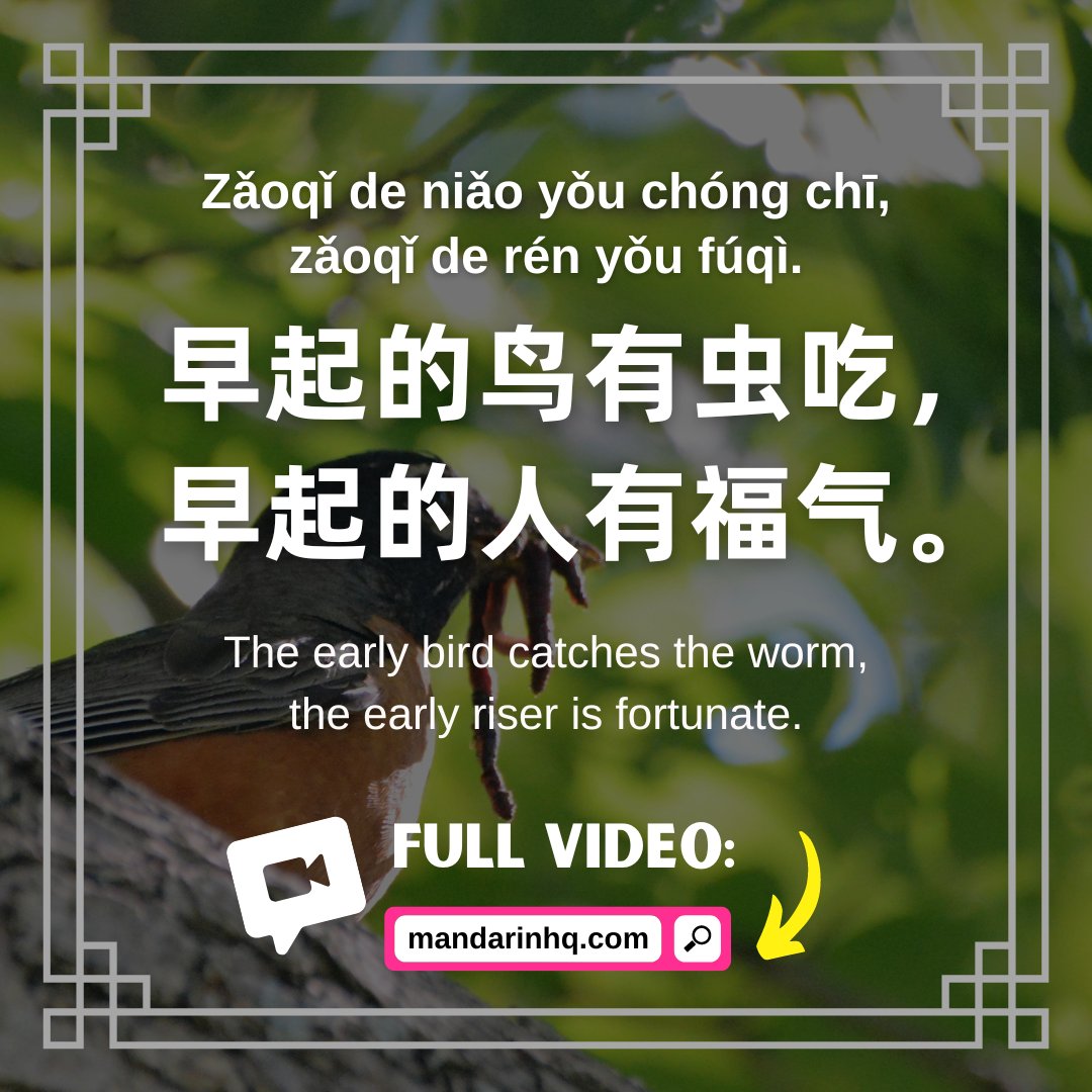 🌅 Rise and shine! Start your day with these 15 inspiring Chinese morning proverbs to kickstart your motivation and positivity! 👉l8r.it/cALT
.
#chineseproverbs #chinesesayings #chineseculture #chinesequotes #chineselanguage #chineselesson #mandarinhq #mandarinlesson