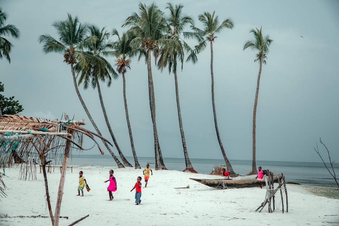 IPCTravelAgency's tweet photo. Nothing but pure joy and endless smiles with these little adventurers on the white sandy beaches of #TurtleIslands, surrounded by towering palm trees swaying in the gentle breeze.🌴 

📸outdoor_pirate

#IPCTravelAgency #yourguidetosierraleone #sierraleone #salonetwitter #salonex https://t.co/Fxgvw8rEf9