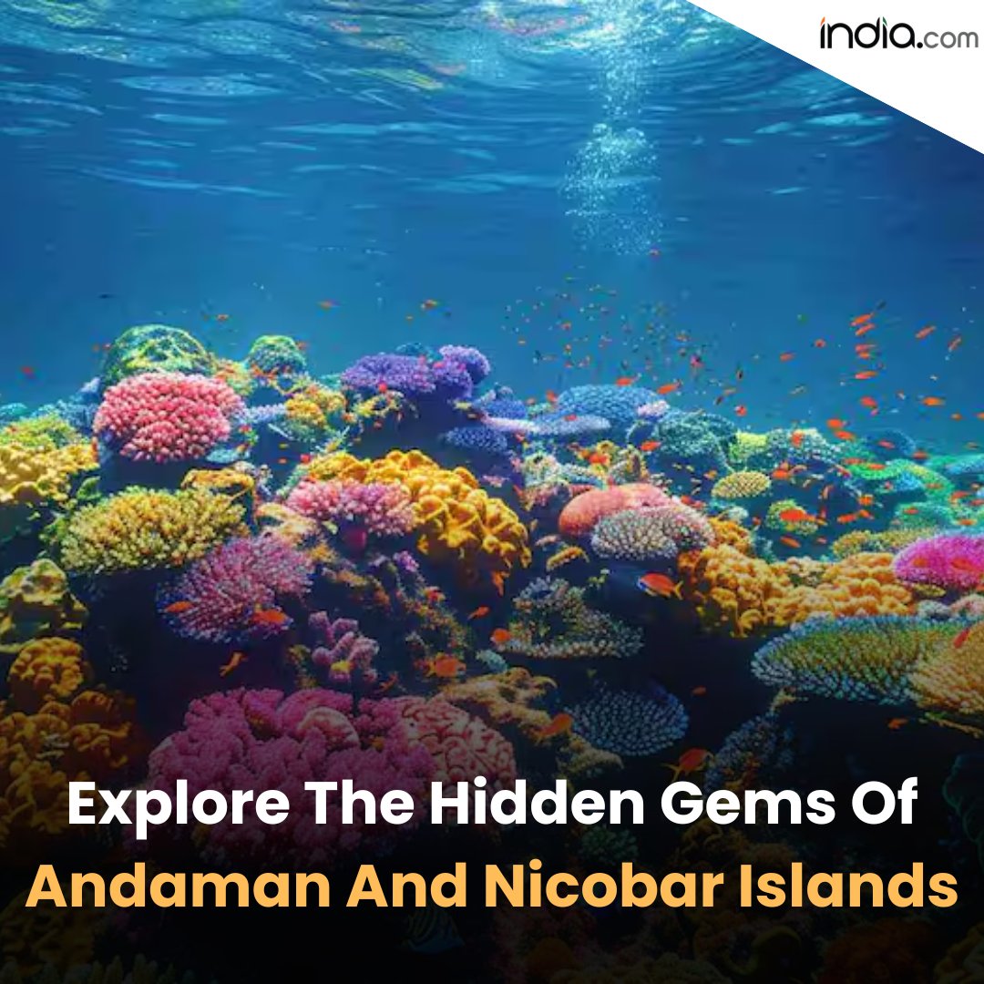 Experience the magical charm of Andaman and Nicobar Islands. Read More: travel.india.com/guide/destinat… #AndamanNicobarIsland #Travel #Tourism #TravelLife #TravelBlog