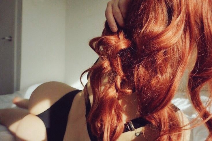 𝘽𝘼𝙉𝙎𝙃𝙀𝙀 (@sir3nc0r3) on Twitter photo 