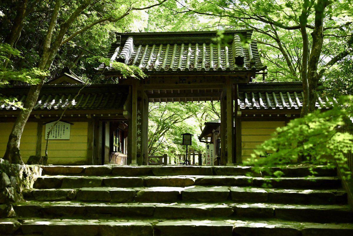 mihiro_flot's tweet photo. 滋賀県の湖東三山へソロ旅

1人で居ると話しかけやすいのか
どのお寺でも話しかけられた

道中1人は寂しかったけど
出会いはいつもより
沢山あったから
ソロ旅も捨てたもんじゃ無いって

最後は近江牛のすき焼きで〆 https://t.co/0zSi6e7Nxe