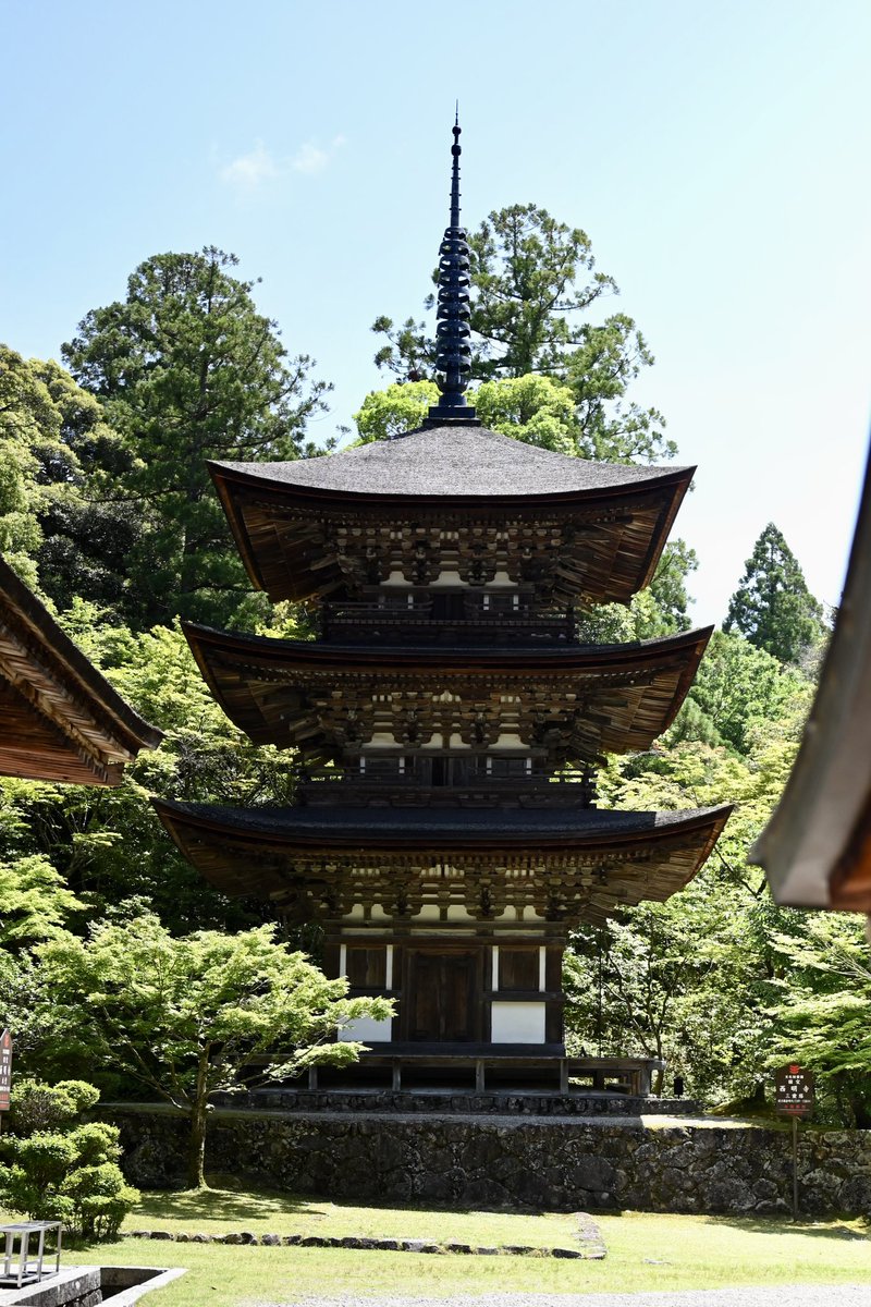 mihiro_flot's tweet photo. 滋賀県の湖東三山へソロ旅

1人で居ると話しかけやすいのか
どのお寺でも話しかけられた

道中1人は寂しかったけど
出会いはいつもより
沢山あったから
ソロ旅も捨てたもんじゃ無いって

最後は近江牛のすき焼きで〆 https://t.co/0zSi6e7Nxe
