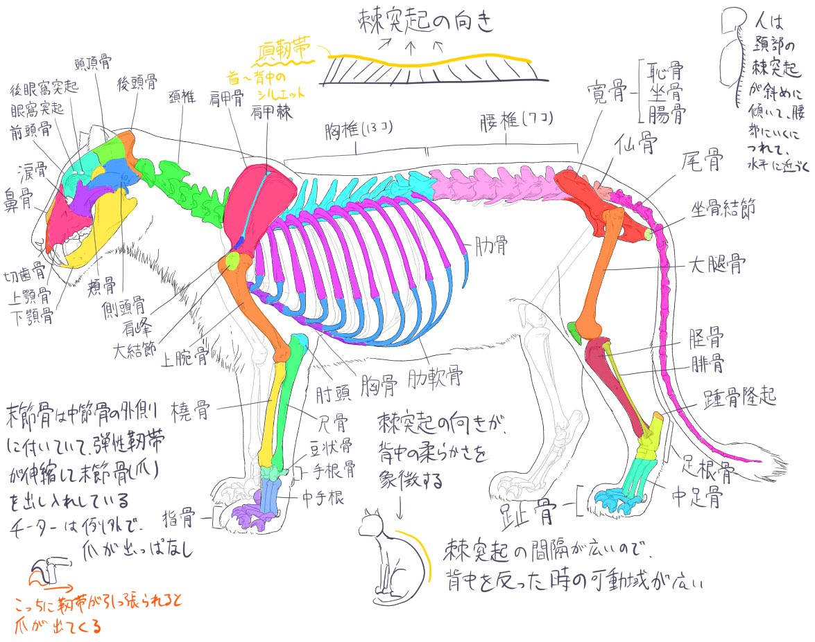 さんご tweet media