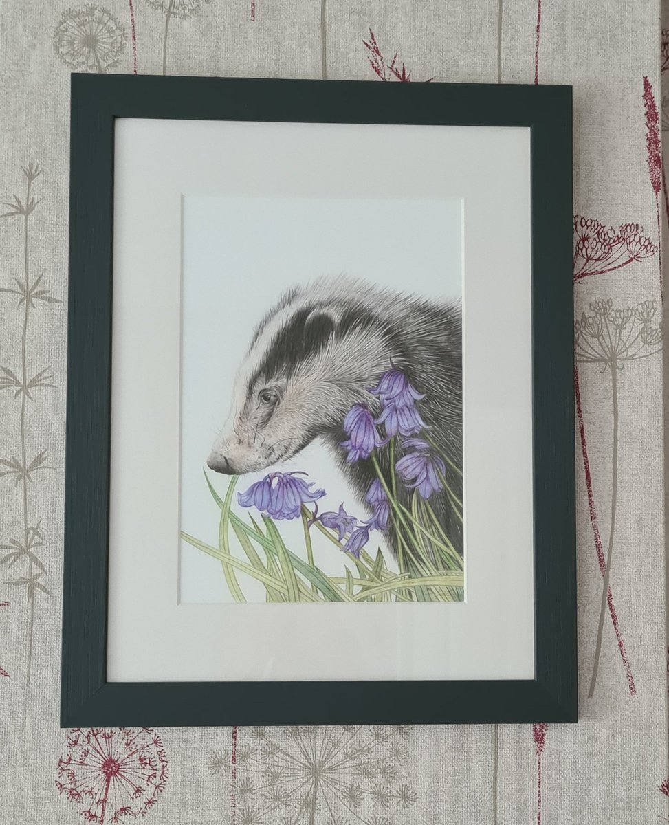 @studio22artz Finally, Mr Badger is back from the framer. I absolutely love him ❤️