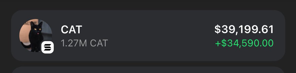 IBestBets's tweet image. got $CAT airdrop x.com/__solcat/statu…