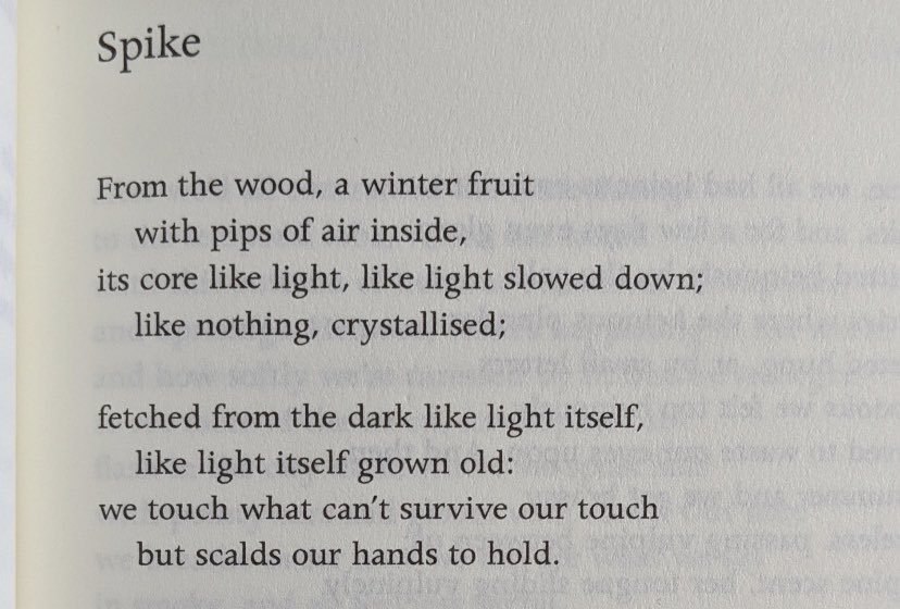 LauraMerivale's tweet photo. @onlypoemsmag https://t.co/mSY0ePIJQP