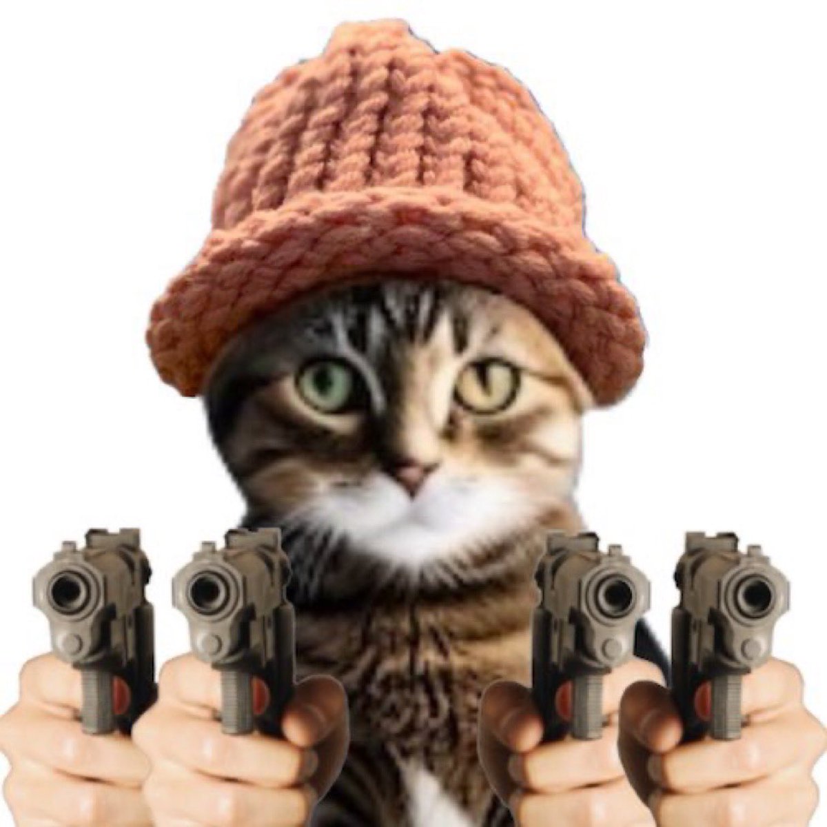 I’m inspector $CWIF , $DOGKILLER 
😂😂🐈🐈🐈

@catwifhatsolana
