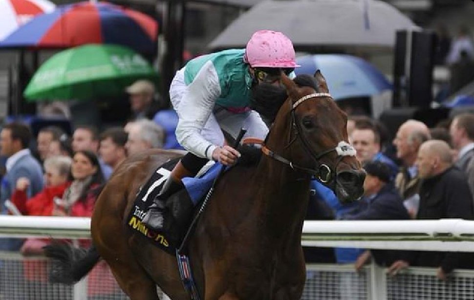 Kingman never gave his odds-on backers an anxious moment when bolting up by 5 Lengths in the 2014 Irish 2000 Guineas. Blessed with an exceptional turn of foot, he followed up in the St James's Palace, Sussex Stakes and Prix Jacques Le Marois, securing champion miler honours.