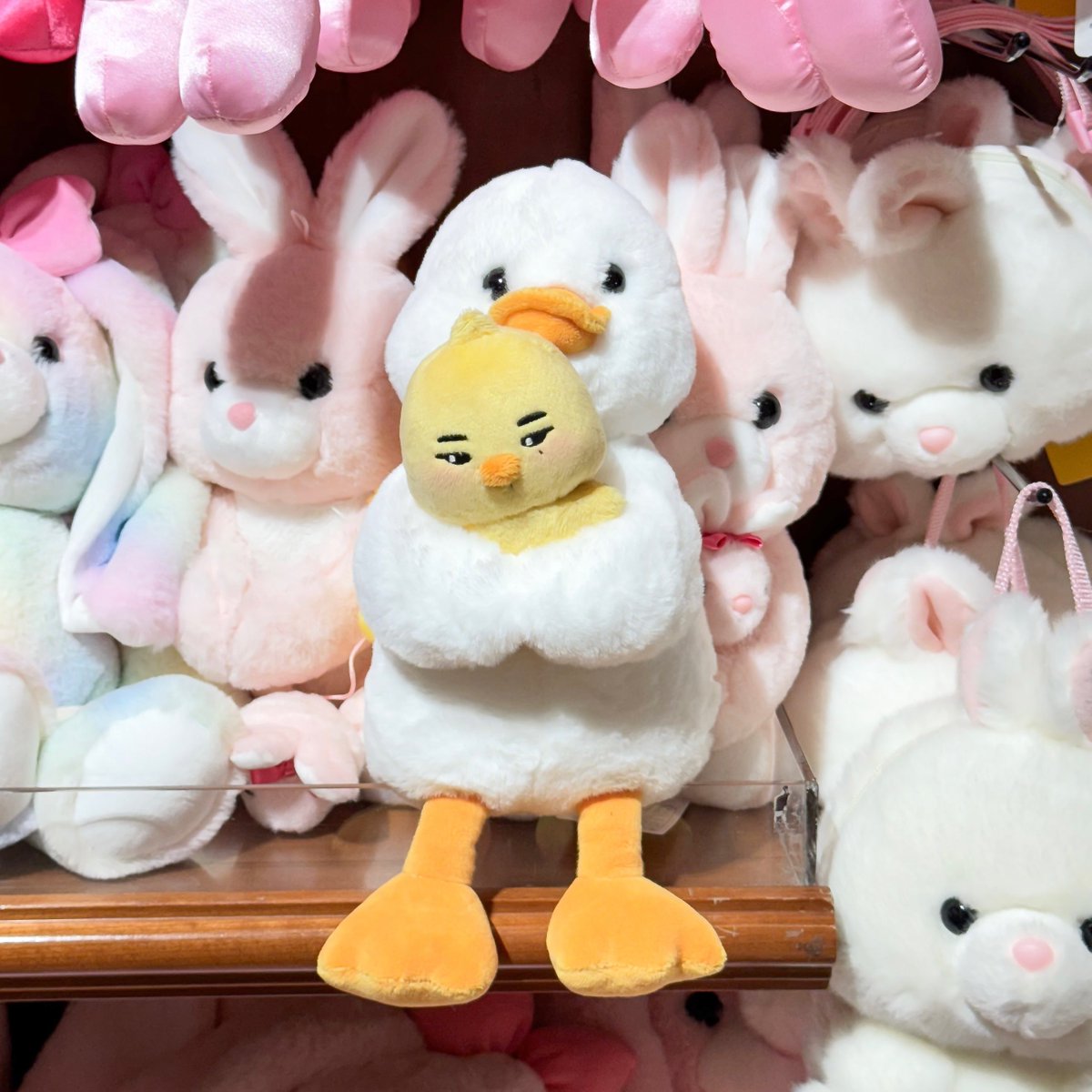 NIOKI_0912's tweet photo. 아기 오리🤏🏻🐣
#NIOKI https://t.co/ADbX2F1xML