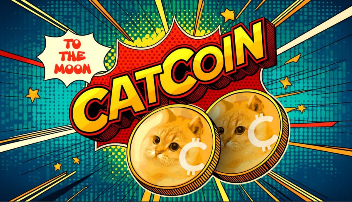 liltuned's tweet photo. @BSCGemsAlert $Cat https://t.co/YlmvRVKuf1