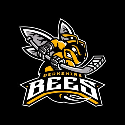 BeesIceHockey's tweet photo. #NewProfilePic https://t.co/rMj8X9cODX