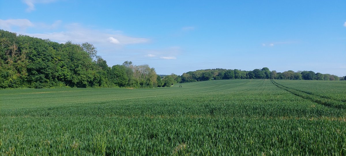 KennyInclusion's tweet photo. Solo, sunny run on the trails this morning. Really beautiful scenery, nice and peaceful running through the countryside. Great start to Saturday. We know what 8 miles means @WeAreERC !! #running #thinkingclearly https://t.co/E5jyDBF9Q8