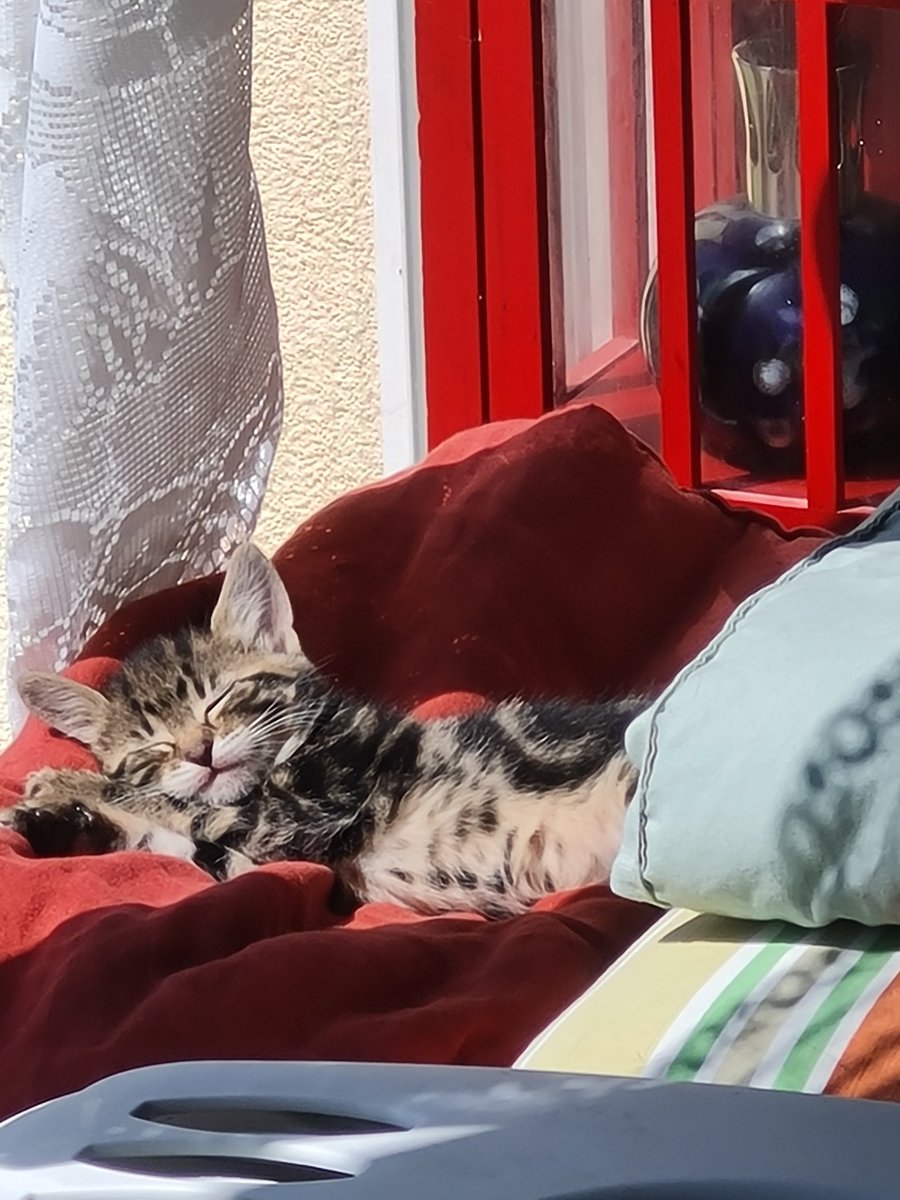 GGCD ne perdra pas de game ce week end