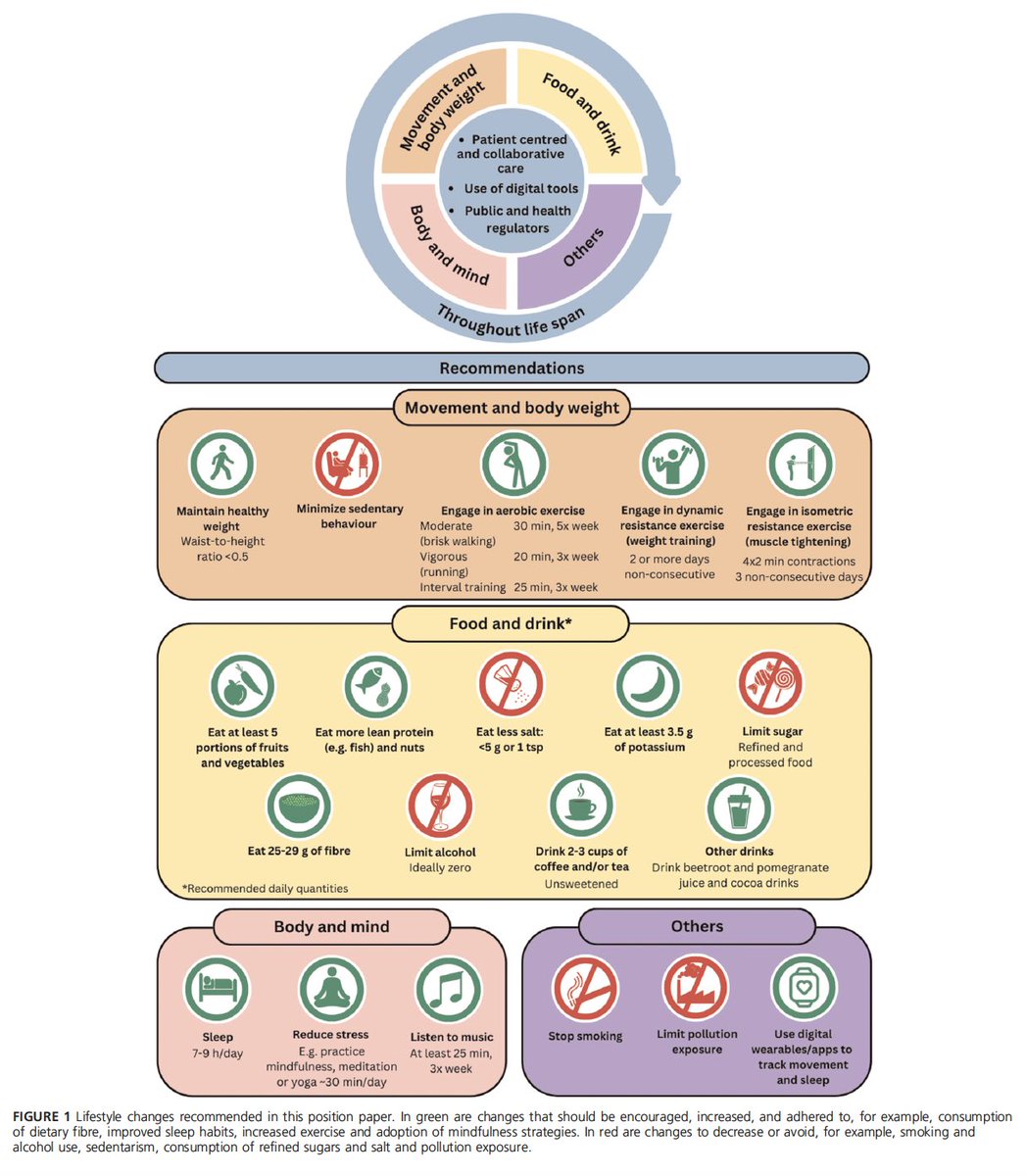 gonzaeperez's tweet photo. CAMBIOS EN ESTILO DE VIDA PARA EL MANEJO DE LA HIPERTENSIÓN ARTERIAL
Documento @WorldHyperLeag @ESHypertension
 
#Hypertension 
Descarga libre ⏩️https://t.co/MzagyJDUOC https://t.co/DBT2aCGoou