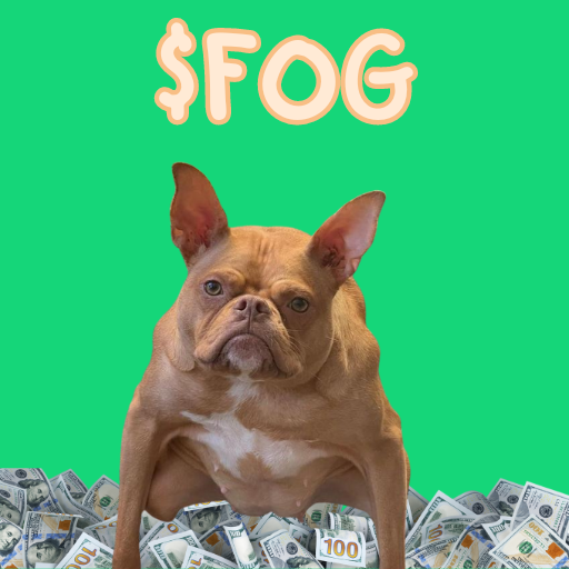 THE FROG DOG IS LIVE ON SOLANA!

$FOG

CA: 33U7KWk65n8MtC2TF4TnrBRorLHhJoMaazds5G1VWeEY

TG: t.me/frogdogfogport…