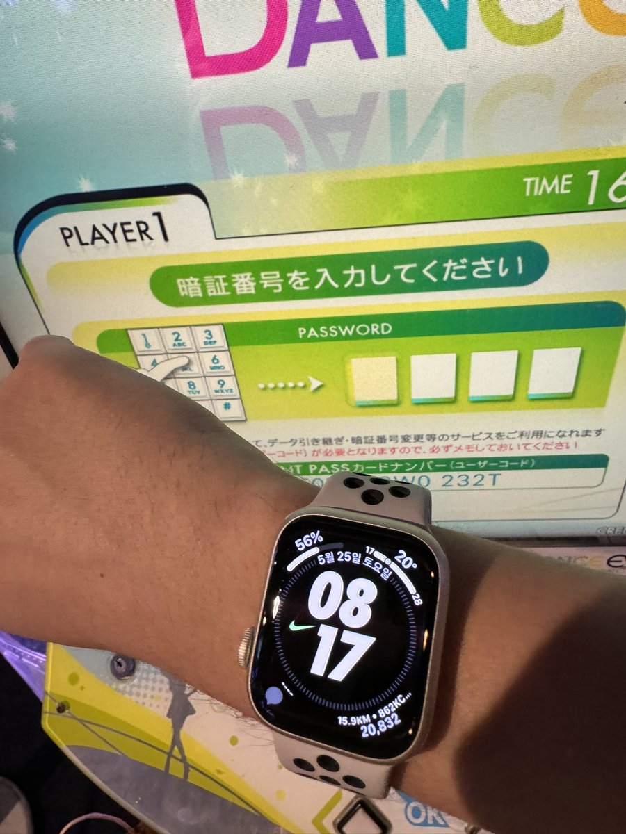 살아있는 댄에보 ㅠㅠㅠ