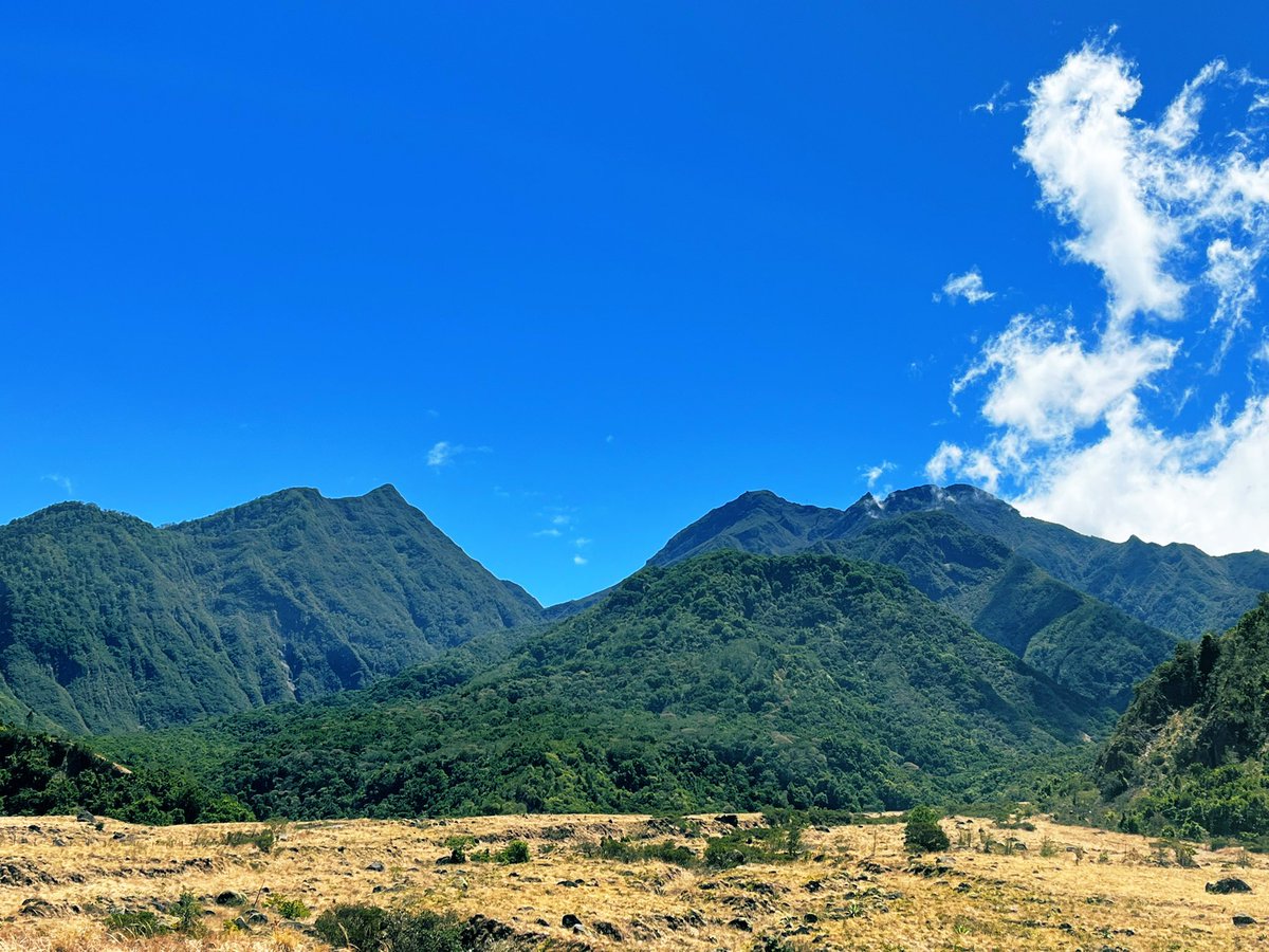 HotelBambito's tweet photo. Buenos días desde tierras altas #Chiriqui les desea 
El #HotelBambito #NaturalmenteBambito #Panamá 
Teléfonos:  6914-2902 771-4265/771-4373 https://t.co/XIYQ9Gb3IH