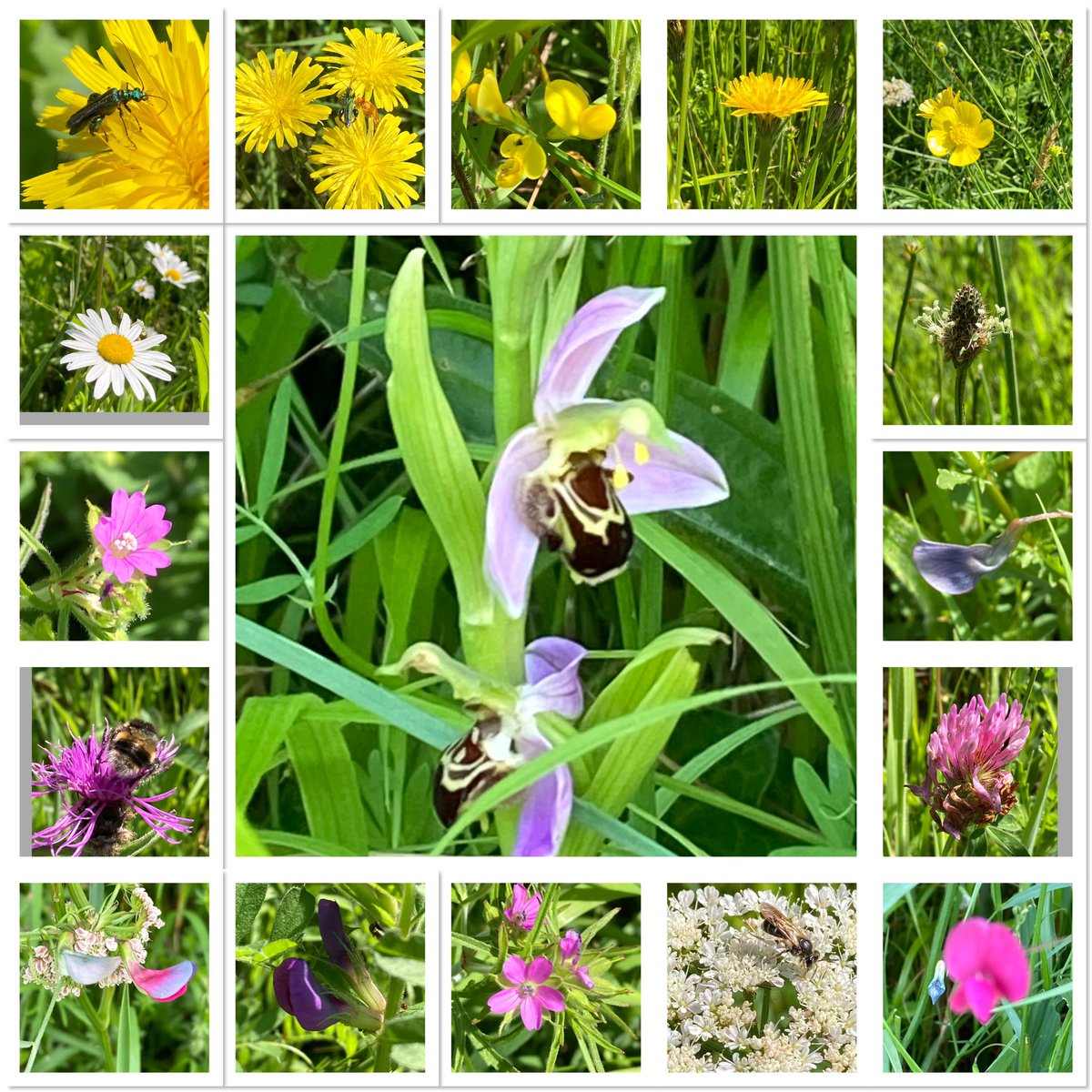 Sarah Butcher tweet media