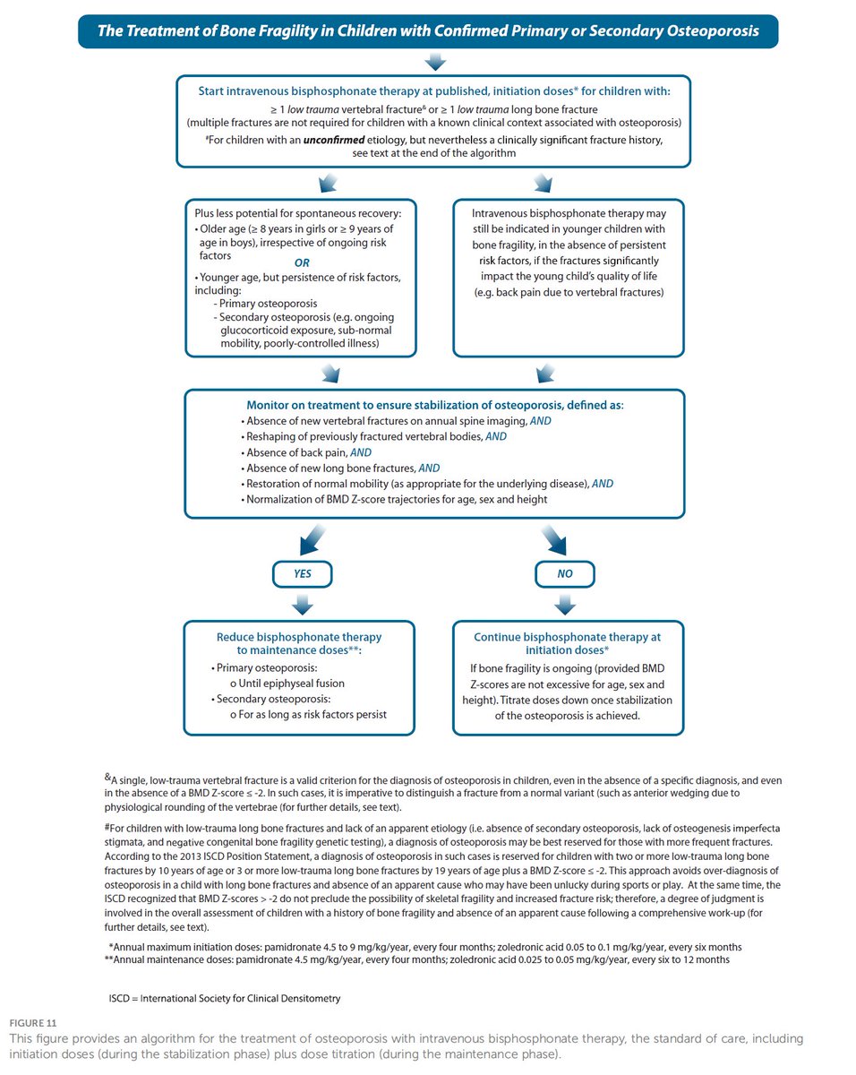 🚸🦴 Osteoporosis in children 🔸 Fractures in children are common (~50%) 🔸 How should we detect underlying bone fragility? ➡️ Practical guide 🔗 frontiersin.org/journals/endoc…