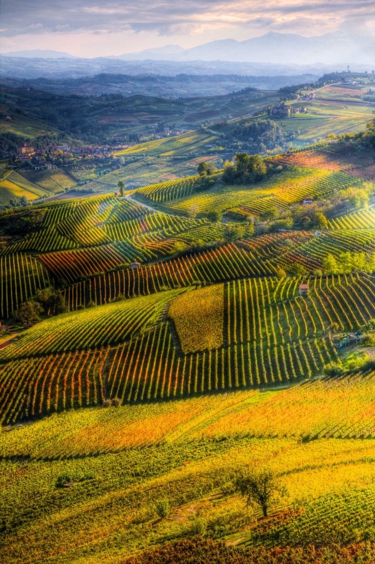 1. Vineyard Landscape of Piedmont

Langhe-Roero and Monferrato—a wine country, a UNESCO World Heritage site, encompassing five distinct wine-growing areas and the historic Castle of Cavour.