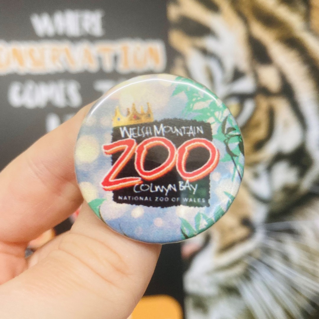 💖Love Your Zoo Week is here!💖 Become an Animal Champion this May half-term and complete our Champion's Trail for an exclusive pin badge only available from 25th May - 2nd June! welshmountainzoo.org/events/love-yo…