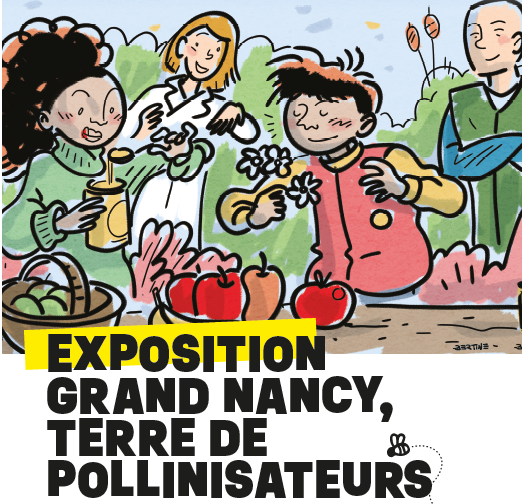 🐝🪰🚀RdV dès aujourd'hui à l'Espace Animalier du Parc de la Pépinière pour découvrir une exposition destinée aux pollinisateurs, ces petites bêtes essentielles dans notre quotidien initiée par le @umr_lae @INRAE_Nancy ! @VilledeNancy @Grand_Nancy 👉 ow.ly/x9e850RTWEf