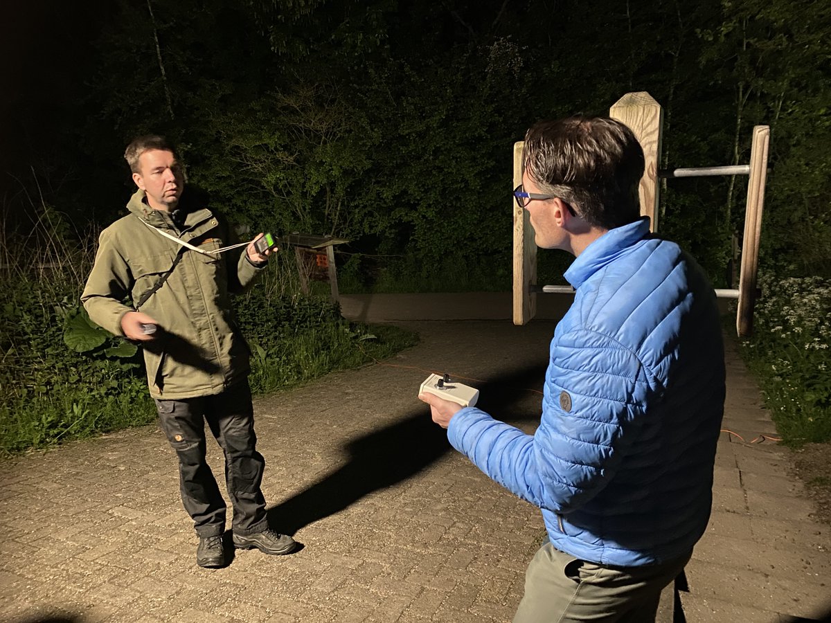 🐞 Kom naar het Weekend van de Natuur! Van 31 mei tot en met 2 juni zijn er meer dan 50 activiteiten waar je aan kunt deelnemen: natuurwandelingen, nachtexcursies, workshops, plantjesruilbeurzen en nog veel meer. Het volledige programma vind je op groenblauwdordrecht.nl