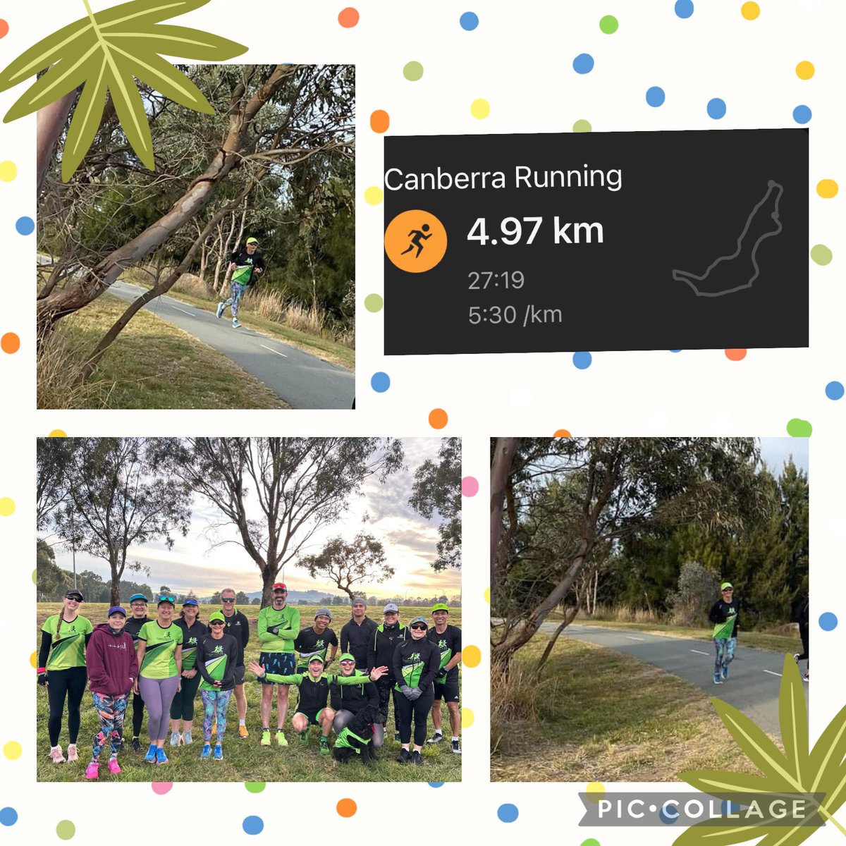 Cathy 🦉 tweet media