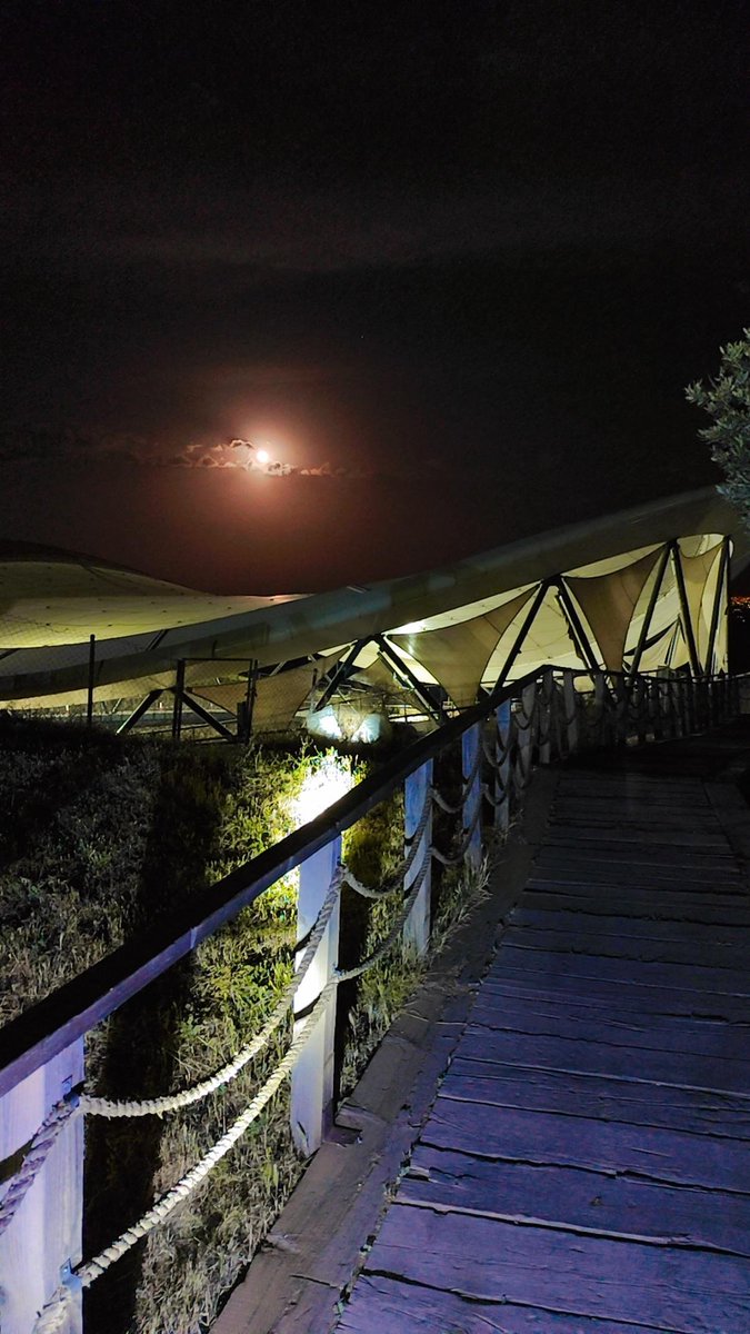 emrekol20's tweet photo. Gece bir başka güzel https://t.co/rWRADl2M7x