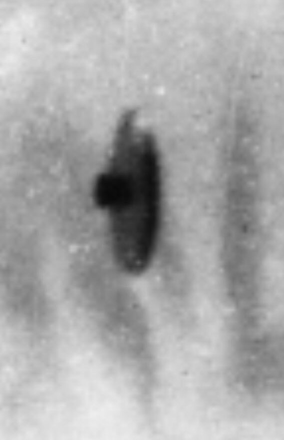 #ufo #ufos #uap #uaps #aliens #flyingsaucer #disclosure #hiddenknowledge #theufosecret #ufotwitter #alien #HaveABrightDay #1960s #60s #NewJersey #paranormal #ufoX #uapX