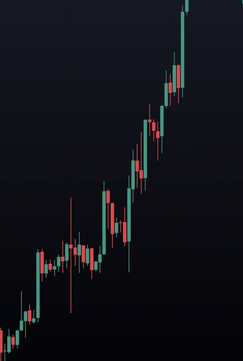 WHALE 🐳 EVERYTHING tweet media