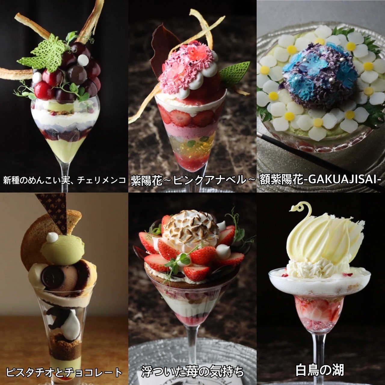 pharfaite】カフェメイドスイムウェア・ベロアver.