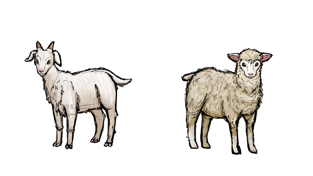 MaryC_Artist's tweet photo. I realised I have not posted any of my animal studies yet.. Here is a goat and a sheep https://t.co/BEcu0JYl4W